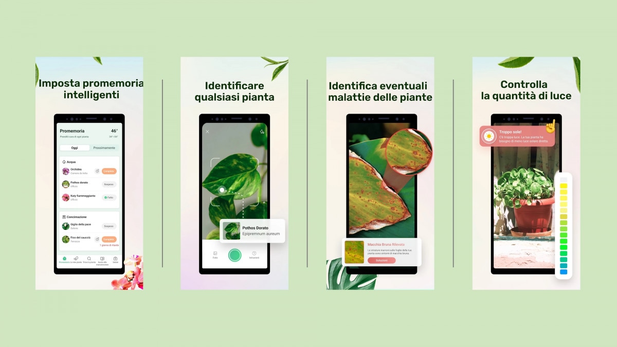 Plant Parent: the educational app for family plants