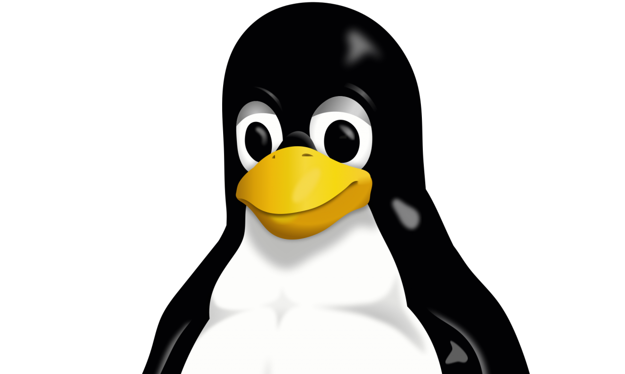 L'incubo di Windows sta arrivando su Linux